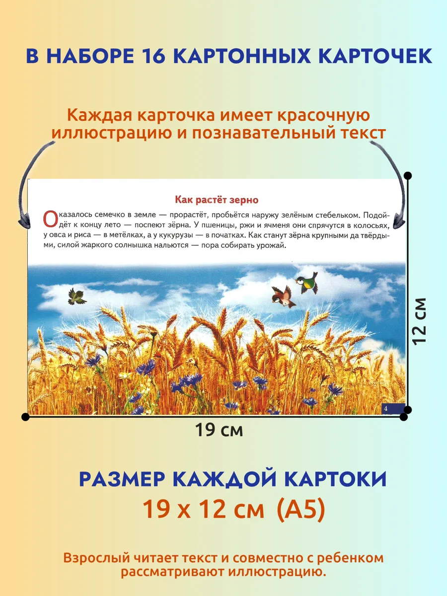 Карточки Хлеб