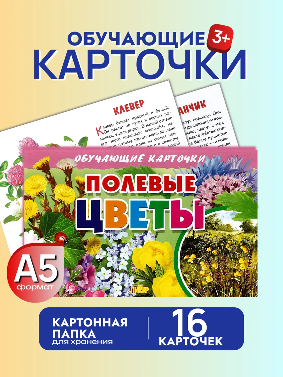 Полевые цветы Наглядные карточки